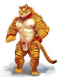 anthro balls censored collar erection feline iceman1984 male male_only mammal muscular muscular_male navel nipples penis solo tiger