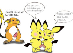 3boys brown_eyes erection eroborus furry gay male male_only nintendo one_closed_eye open_mouth penis penises_touching pichu pokemon pokemon_(species) raichu rodent standing sweat tail testicles text video_games white_background