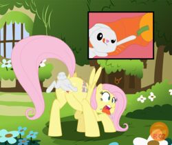 angel_(mlp) ass carrot clitoris cutie_mark detailed_background duo equine feathered_wings feathers female feral fluttershy_(mlp) food friendship_is_magic hair hi_res lagomorph male mammal my_little_pony open_mouth pegasus pink_hair pussy pussy_juice rabbit raised_tail size_difference straight tongue tongue_out unbirthing vegetable vore wings zeta_r-02