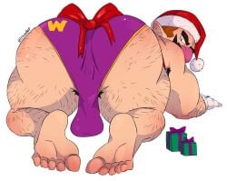 wario from christmas by fabssdaf