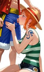 monkey d luffy from one piece