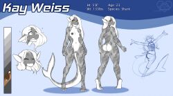 2017 breasts brown_eyes digital_art digital_drawing_(artwork) digital_media digital_media_(artwork) first_porn_of_character fish kay_(droopycrows) kittydee marine marine_humanoid pussy reference reference_image reference_sheet shark shark_girl shark_humanoid vagina white_body
