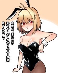 Tsukihime (Remake) Rule 34 Image
