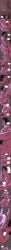 blowjob comic_strip cyanureboy jill_valentine legs_up leon_scott_kennedy muscular_male passionate pussy_licking removing_clothing resident_evil undressing_partner
