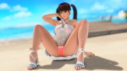 3d athletic athletic_female beach big_breasts breasts brown_eyes brown_hair busty dead_or_alive female female_focus female_only hourglass_figure lei_fang long_hair outdoors outside tagme tied_hair wide_hips x-kx_(artist)