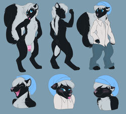 blush cute furry hat male mammal model_sheet penis skunk veesocks