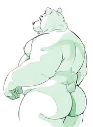 anthro ass bear big_butt kumagaya_shin looking_at_viewer male male_only mammal nude polar_bear simple_background solo white_background