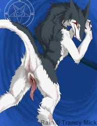 chimerasynx rain_silves sergal tagme