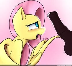 2016 animal_genitalia animal_penis balls blush cum cum_on_face disembodied_penis duo equine equine_penis erection female feral fluttershy_(mlp) friendship_is_magic hair horsecock long_hair looking_at_penis male mammal my_little_pony neighday open_mouth pegasus penis pink_hair solo_focus straight tongue wings