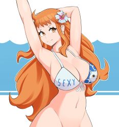 nami (one piece) from one piece by supu