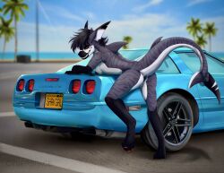 absurd_res anthro anus aquatic ass beach big_tail blue_car bottomwear breasts car classic_car claws clothing corvette cyberspaceart female fin fish genitals hi_res leaning leaning_forward nipples nude parking_lot pointy_ears public public_nudity red_claws red_eyes requiem_shark shark sharp_teeth shorts smile solo sport stripes suggestive sunny tail teeth tiger_shark vehicle vulva