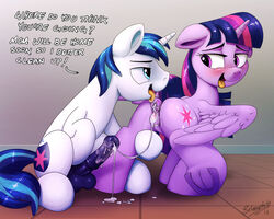shining armor (mlp) from friendship is magic by selenophile