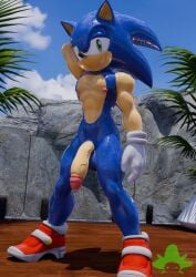 2026 3d_(artwork) anthro balls bomberman_kenny clothing cloud digital_media_(artwork) eulipotyphlan footwear gay genitals glans glass glistening glistening_body gloves half-erect hand_behind_head handwear hedgehog hi_res homosexual homosexual_male humanoid_genitalia humanoid_penis looking_at_viewer male male/male male_focus male_only male_penetrating mammal muscular muscular_male nipples outside palm_tree penis pink_nipples plant raised_arm sega shoes sky smile solo sonic_(series) sonic_the_hedgehog sonic_the_hedgehog_(series) standing tree vein veiny_penis wet wet_body