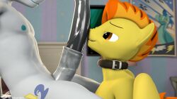 3d_(artwork) animal_genitalia animal_penis anthro bed bedroom bedroom_eyes bite biting_lip body_worship collar collar_only digital_media_(artwork) duo equine_genitalia equine_penis eye_contact friendship_is_magic ftm_crossgender furniture genital_worship genitals hasbro hi_res imminent_fellatio imminent_oral inside looking_at_another male male/male my_little_pony narrowed_eyes nipples nose_wrinkle nude on_bed penile penis penis_on_face penis_worship rainium rule_63 seductive sitting sitting_on_bed soarin_(mlp) source_filmmaker_(artwork) spitfire_(mlp) wonderbolts_(mlp)