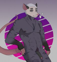 American Opossum Rule 34 Image