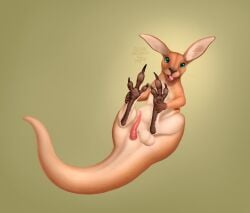 anatomically_correct anatomically_correct_genitalia anatomically_correct_penis animal_genitalia animal_penis balls balls_above_penis blep blue_eyes cloacal_penis cloudweaver_(artist) countershading erection feet feral foot_focus genitals gradient_background hi_res horizontal_pupils kangaroo kangaroo_genitalia lying macropod male mammal marsupial marsupial_penis on_back penis presenting presenting_balls presenting_penis pupils signature silly_face simple_background solo tail tapering_penis tapering_tail tongue tongue_out whisker_spots whiskers