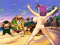 bulma briefs from dragon ball
