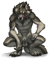 2016 animal_genitalia anthro_only balls canine crouching fangs licking male male_only mammal no_humans sayuncle sheath simple_background solo tongue tongue_out were werewolf yellow_eyes