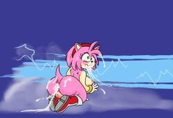 amy rose from sega by shonenglazing