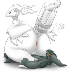 anthro anus ass big_butt black_body blue_eyes drain_scat duo female fur generation_5_pokemon genitals hi_res legendary_pokemon looking_at_another looking_at_partner looking_back looking_back_at_another looking_back_at_partner looking_forward lying male male/female nintendo nude pokemon pokemon_(species) red_eyes reshiram simple_background sitting sitting_on_another vulva white_background white_body white_fur zekrom