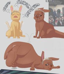 2026 angry big_ears big_nose blonde_hair brown_body brown_fur cel_shading claws cross-popping_vein directional_arrow duo feral finger_claws fur grey_eyes grey_hair hair male male/male paws peter_magyar rain_world rumbling_stomach screaming shaded slugcat stomach_bulge toe_claws victor_orban videocult vore vrilldozer yellow_body yellow_fur