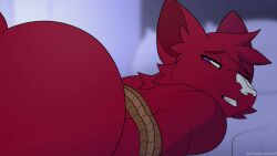 2boys anal anal_sex animated anthro anus ass balls bellial_grotenbell bondage canine chaz_barkley cum cum_in_ass cum_inside cum_on_ass cum_on_penis domestic_cat domestic_dog feline furry gay knot male male/male male_only moaning nude penis riley_augestine rope rope_bondage sex sound teeth video yaoi