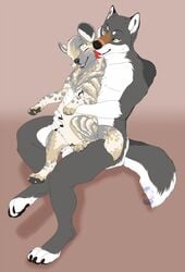 2016 african_wild_dog anthro anthro_on_feral balls blush canine closed_eyes duo female feral fur grey_fur hi_res knotting male mammal nude penetration penis pussy sex straight toradoshi vaginal_penetration wolf zoophilia