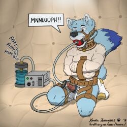 2018 animal_genitalia animal_penis anthro artist_name asylum ball_gag balls black_snout blue_body blue_fur blue_legs blue_tail bondage bondage bound canid canine canine_genitalia canine_penis canis clothing collar digital_drawing_(artwork) digital_media_(artwork) dipstick_tail footwear fur gag gagged genitals green_eyes hi_res kemira kneeling long_tail machine male mammal markings milking_machine milo_amiro monotone_body monotone_fur muffled_speech muzzle_(object) one_eye_closed onomatopoeia padded_room padlocked_collar penile penis penis_milking penis_milking_machine pink_penis plantigrade pump restraints socks solo sound_effects speech_bubble straitjacket tail tail_markings text url white_balls wince wolf
