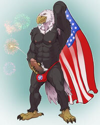 1boy 2016 4_toes 4th_of_july 5_fingers abs american_flag anthro anthro_only arm_raised arm_up armpit armpit_hair athletic avian badcoyote bald_eagle balls_in_bodysuit balls_outline balls_visible_through_clothing barely_clothed beak biceps bird black_body black_feathers black_sclera blue_background cape claws eagle erection feathered_wings feathers firecracker fireworks flag foreskin foreskin_folds front_view genitals hand_on_penis humanoid humanoid_genitalia humanoid_penis intact looking_at_viewer male male_nipples male_only male_pubic_hair masturbating masturbation mostly_nude muscular_anthro muscular_male nude_male orange_eyes patriotic_clothing pecs penis pubes raised_arm retracted_foreskin simple_background smile smiling solo standing tail tail_feathers talons thong toe_claws tuft two_tone_body two_tone_fur uncut united_states_of_america white_feathers wings yellow_sclera