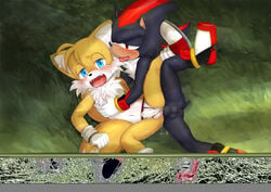 anal anal_sex anthro anus balls canine clothing duo fairwind fox hedgehog male mammal penetration penis shadow_the_hedgehog sonic_(series) tails underwear underwear_aside yaoi