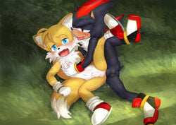 anal anal_sex anthro anus balls canine duo fairwind fox hedgehog male mammal penetration penis shadow_the_hedgehog sonic_(series) tails yaoi