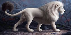 2016 anatomically_correct anchee animal_genitalia anus ass backsack balls big_balls blue_eyes detailed_background feline feral fluffy fur huge_balls huge_sheath lion male_only mammal mane perineum quadruped rakeesh sheath side_view solo white_fur white_lion