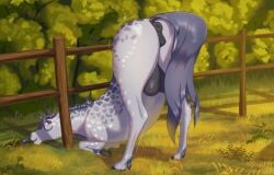 2025 animal_genitalia animal_pussy animal_vulva anus artist_name ass bedroom_eyes digital_drawing_(artwork) digital_media_(artwork) dock_(anatomy) equid equine equine_anus equine_genitalia equine_pussy equine_vulva eyebrows eyelashes female fence feral genitals grass horse jaribka looking_at_viewer looking_back mammal mane narrowed_eyes plant puffy_anus pussy quadruped raised_tail rear_view seductive solo tail tail_anus teats text vulva
