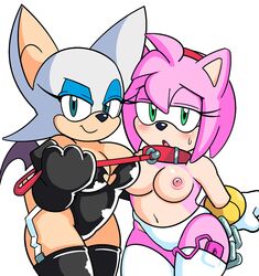 amy rose from sega by watatanza
