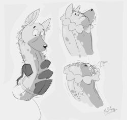 Animal Genitalia Rule 34 Image