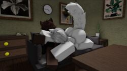 1boy 1girls 3d ass big_ass blowjob brown_fur brown_hair cat_ears catboy dark-skinned_male furry furry_female furry_male furry_only living_room male/female oc on_couch roblox robloxian saphyyree source_request sucking_penis white_fur white_hair wolf_ears wolf_girl wolf_tail