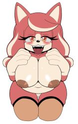conductor's wife (sonic) from sega by leatherruffian