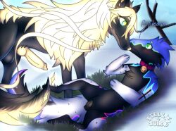 absurd_res animal_genitalia animal_penis animal_vulva balls begging bell bell_collar black_body black_fur blue_body blue_fur blush canid canine canine_genitalia canine_penis canine_vulva canis chest_tuft cloud cloudy_sky collar collar_only cross_(marking) detailed_background dialogue digital_drawing_(artwork) digital_media_(artwork) dragon duo english_text female feral fluffy fluffy_tail fur furred_dragon furred_scalie genitals glowing glowing_body glowing_eyes glowing_fur glowing_genitalia glowing_penis glowing_ribbons glowing_vulva grass green_eyes head_tuft hi_res in_heat junpei_(auroratabi) knot male mammal mane markings mostly_nude multicolored_markings mythological_creature mythological_scalie mythology nude paws penis plant rainbow_markings requesting rgb_lighting ribbons rishian_(stellaamoris) scalie sex_request shy sky snow star-born_wolf stellaamoris tail text tree tuft vulva white_body white_fur winter wolf