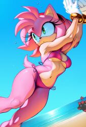 amy rose from sega by creamm cake