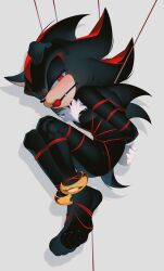 mobian (species) from sega by creamm cake