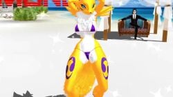 1boy 1girls 3d animated ass beach blue_eyes breasts cameltoe dancing digimon digimon_tamers fluffy_tail fox_girl fox_humanoid furry furry_female micro_bikini music navel palm_tree renamon sound spanish_voice_acting tetramundo video what yellow_fur