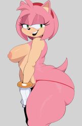 amy rose from sega by uterotera