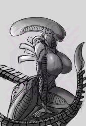 female xenomorph from alien (franchise)