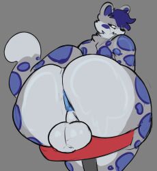 absurd_res anthro anus balls big_butt butt felid genitals hi_res huge_butt hyper hyper_butt male male/male mammal pantherine ridge_(artist) snow_leopard solo