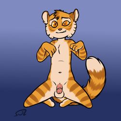 1boy anthro balls cat cat_ears cat_tail domestic_cat felid feline flaccid freckle_mcmurray fur furry humanoid_penis kneeling lackadaisy male male_only mammal navel orange_eyes orange_fur penis simple_background solo swizzlestix tail white_fur