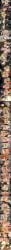 1boy 1girl 3d 3d_model 3d_render after_sex air_blowjob air_fellatio alternate_version_available amazon amazon_position aroused asian asian_female ass awe becoming_flaccid big_ass big_breasts blonde_hair blowjob blowjob_gesture boner boner_in_pants boner_under_clothes boobjob breasts breasts_out chie_yukio cock_shock comic comic_panel comic_strip cover covering_eyes cum cum_in_mouth cum_in_pussy cum_inside cum_on_breasts cum_on_face curvaceous curvaceous_body curvaceous_figure curvaceous_hips curvaceous_thighs curvy curvy_figure dark-skinned_female dark_skin deepthroat dick_on_face embarassed_male embarrassed english_text erection erection_under_clothes erection_under_clothing fellatio fellatio_face female female_on_top femdom flashing flashing_breasts gal_girl ganguro gripping_cock gyaru gyaru_gal handjob handjob_while_sucking hiding hiding_erection holding_penis huge_ass huge_breasts huge_thighs ichiko_tootome image_set imminent_paizuri imminent_penetration imminent_sex in_awe interracial interracial_couple kiss kissing koikatsu kuro_gyaru large_ass large_breasts laughing leg_warmers licking licking_cum licking_cum_on_face licking_ears licking_lips licking_penis licking_tip light-skinned_male light_skin long_comic long_image loose_socks lovers male mating_press mei_risa minami_suo_nami missionary_position mocking muscular muscular_male nervous non_canon open_clothes original paizuri penis_in_front_of_face penis_in_hand penis_on_face peterson_walker phone pointing pointing_at_penis pressed_against pressed_together pressing_breasts pulling_clothing pulling_down_panties pulling_panties rain riding riding_penis rin_takagi rubbing_nipples school_uniform sex shocked shocked_expression showing_off showing_off_breasts size_talk smug smug_face spent spent_cock spidey-dude steam steaming_body steamy_breath story tachumi tanned tanned_female tanned_skin text thick_thighs thighs thinking titfuck titjob tongue tongue_out umbrella vaginal vaginal_penetration vaginal_sex vein veiny_penis voluptuous voluptuous_body voluptuous_female whispering white_male wide_hips