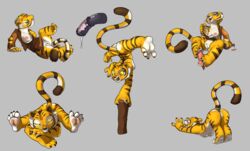 master tigress from dreamworks by siroc