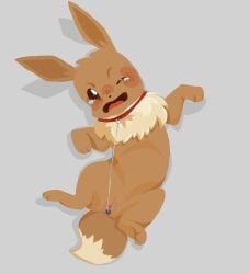 anal anal_dilatation anal_insertion anal_object_insertion anal_penetration ass axellavec2l bottom brown_fur collar cry crying crying_with_eyes_open eevee eevee_ears eevee_tail eeveelution feral fur leash leash_and_collar leash_pull leashed_collar leashed_female little naked no_humans object_in_ass object_insertion pet plug plug_(sex_toy) plug_insertion plugged plugged_ass pokemon pokemon_(species) pokemon_specie showing_pussy showing_vagina small sub tears virgin_vagina zoophila