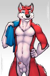 1boy 5_fingers animal_genitalia anthro aurothos balls bulge canine claws fur knot male male_only mammal nude penis red_fur sheath simple_background solo towel tsaiwolf