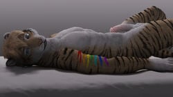 16:9 1boy 2016 3d anthro balls blue_eyes feline fur hair highres humanoid_penis looking_at_viewer lying male male_only mammal nipples nude on_back orange_hair penis presenting rainbow solo stripes tiger ty_hanson virtyalfobo wallpaper